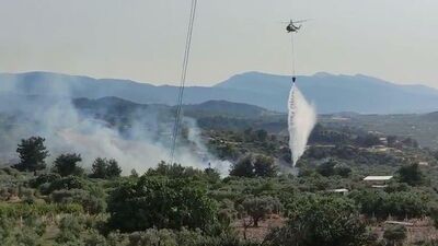 Tarım arazisindeki yangın, ormanı da yaktı