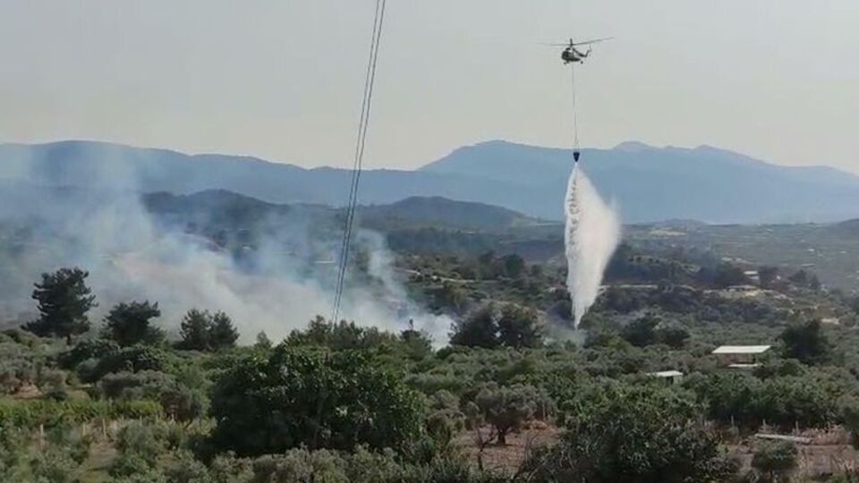 Tarım arazisindeki yangın, ormanı da yaktı
