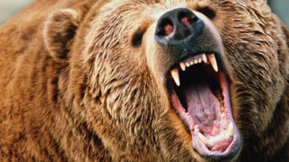 Doğa yürüyüşüne çıktı... Çobanlar kurtardı! Ölümün pençesinde!