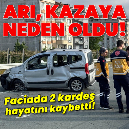 Arı kazaya yol açtı! Faciada 2 kardeş öldü!