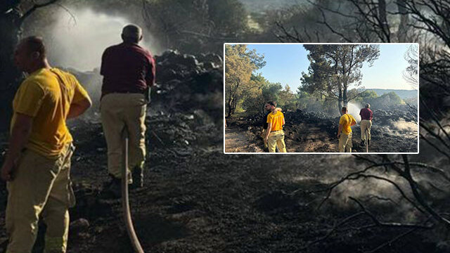 2 dönüm arazi ve 22 Kızılçam kül oldu! Mangal keyfinden cezaevine!