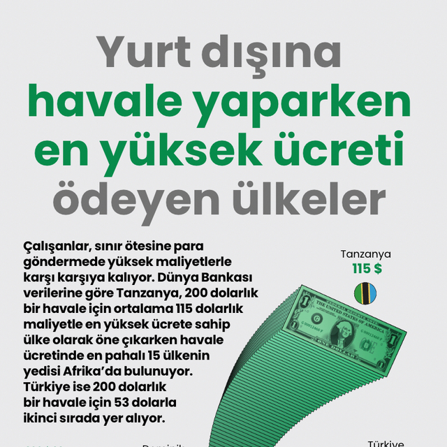 Yurt dışına havale yaparken en yüksek ücreti ödeyen ülkeler