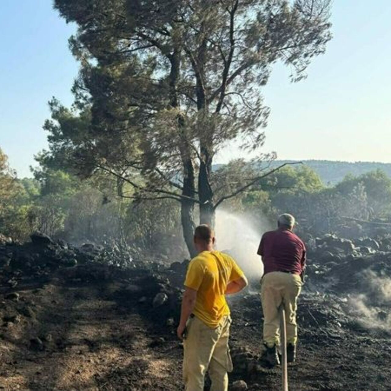 Mangal yaparken ormanı yakmış! Tutuklandı