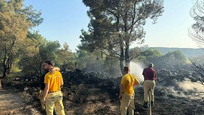 Mangal yaparken ormanı yakmış! Tutuklandı