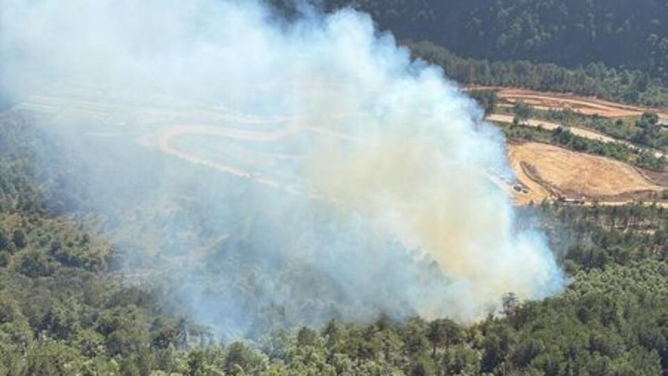 Balıkesir'de orman yangını