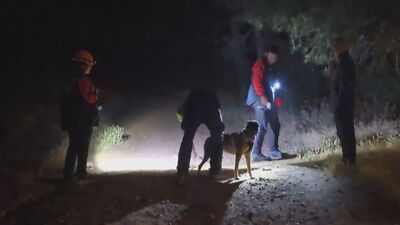 Pendik'te ormana girdi ve ardından kayboldu!