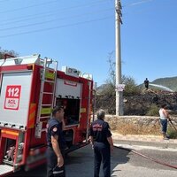Bodrum’da otluk alan yangını | Son dakika haberleri