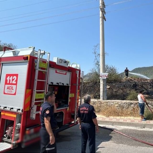 Bodrum'da otluk alan yangını