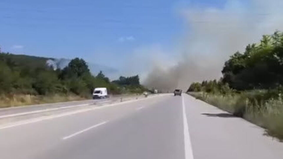 Çanakkale'de korkutan orman yangını