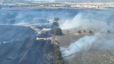 Buğday tarlasında yangın çıktı