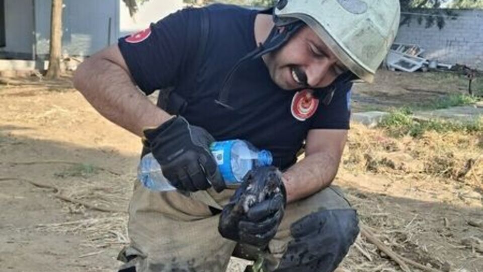 Kedi kurtuldu, bebek ağır yaralı