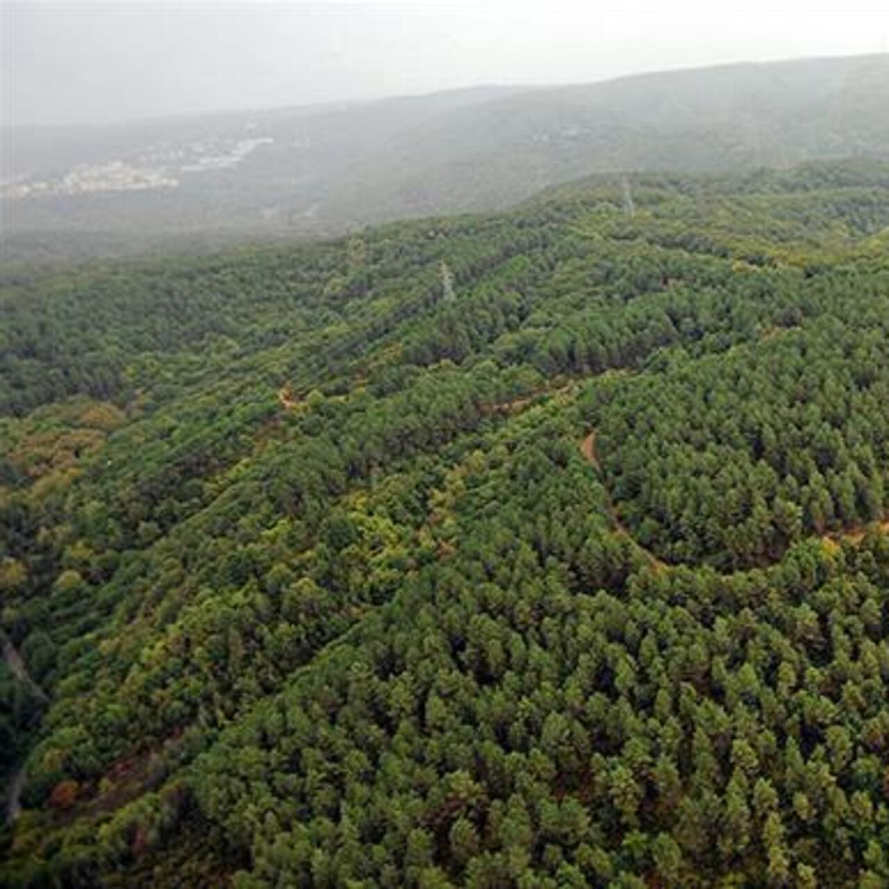 Ankara'da ormanlarda ateş yakılması yasaklandı
