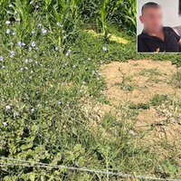 Dayı ile yeğenin 'kanlı miras' kavgası!
