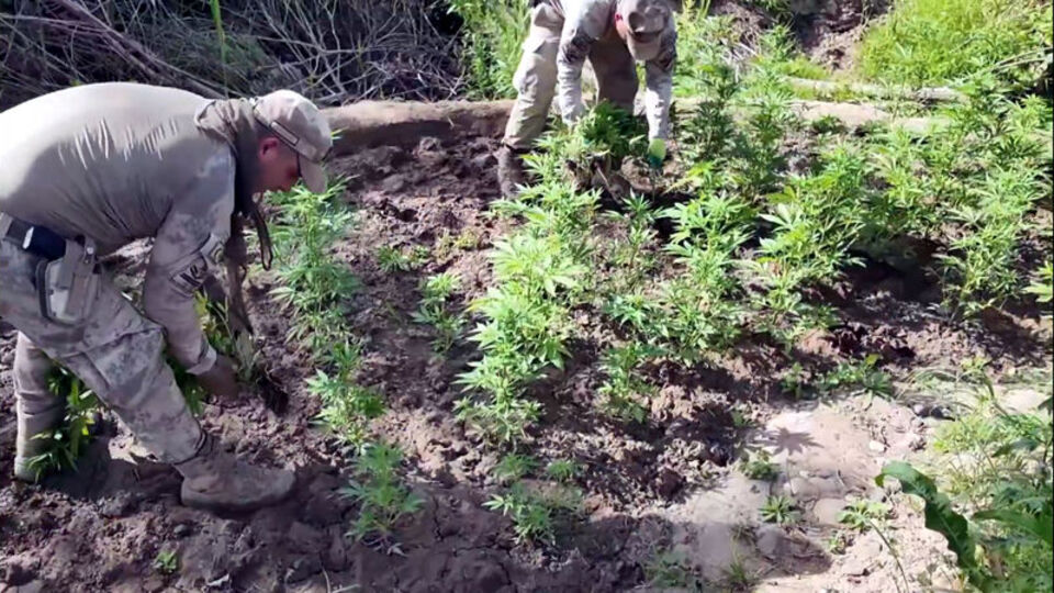 Diyarbakır'da zehir operasyonu!