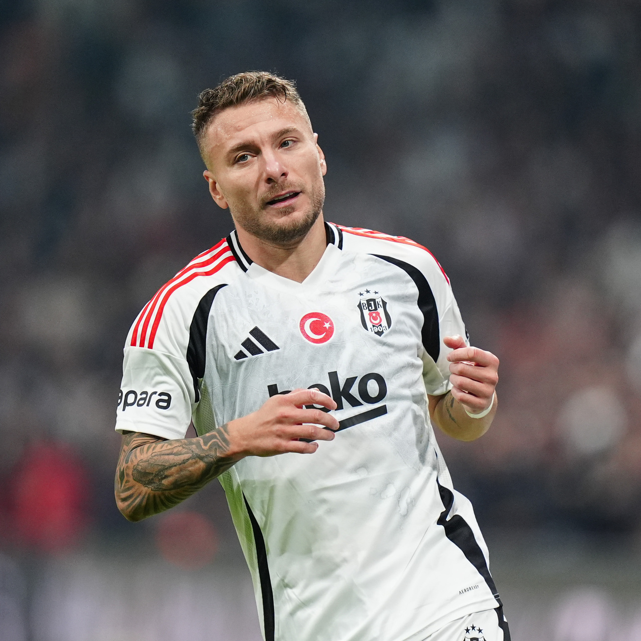 İtalyanlar duyurdu: Milan ve Fiorentina, Immobile için devrede!