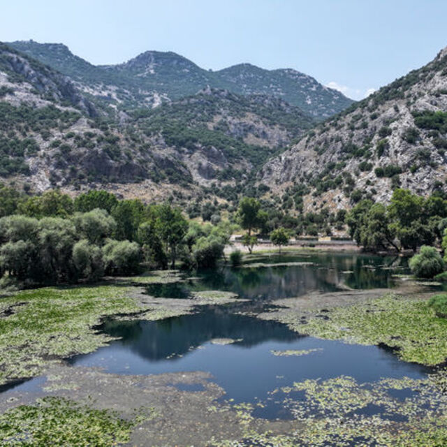 Antalya'nın su kaynağı nilüferlerle kaplandı