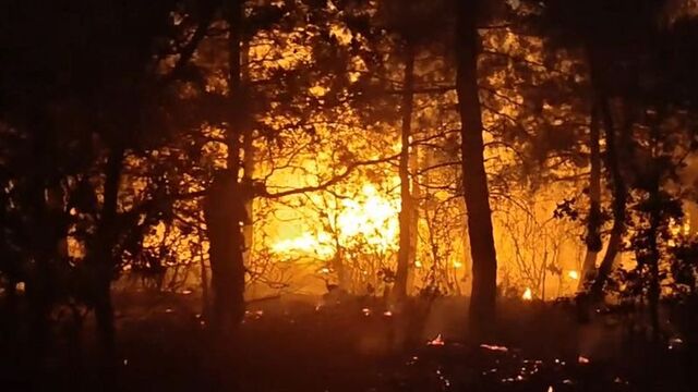 Yıldırım düştü orman yandı!