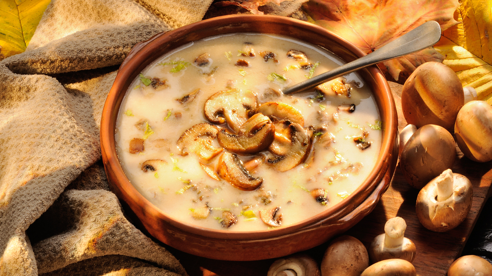 Güçlü bağışıklık sistemi için mantar önerisi!