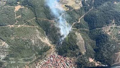 Manisa'da korkutan orman yangını!