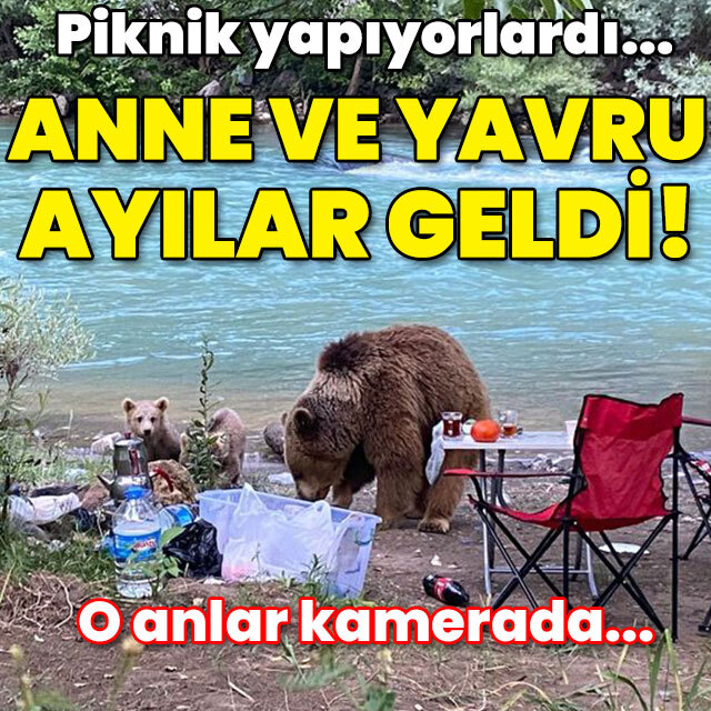 Anne ve yavru ayıların piknik keyfi!