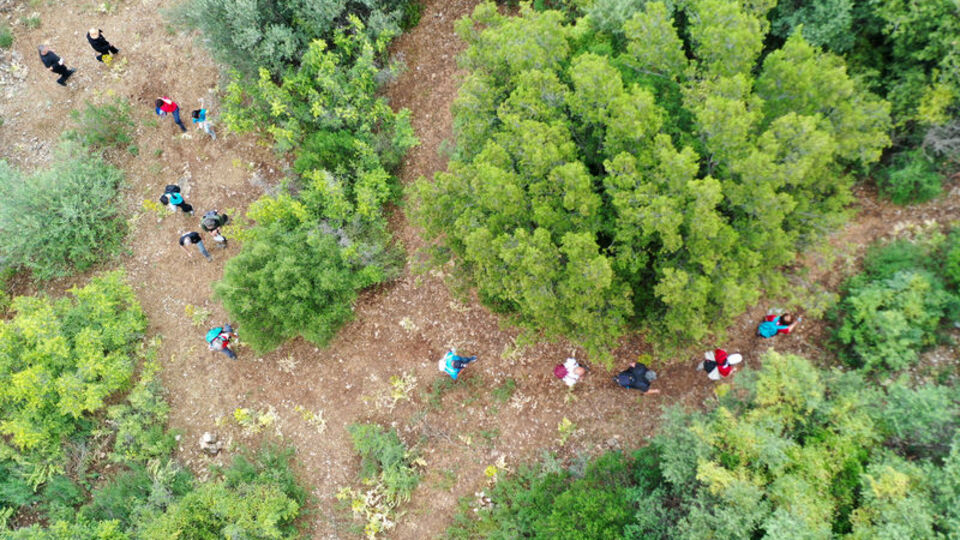 'Anemon Yolu' doğaseverler için hazır