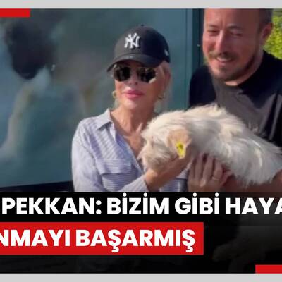 Ajda Pekkan: Bizim gibi hayata tutunmayı başarmış