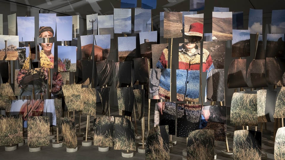 Cansu Yıldıran'dan yeni sergi: Mülksüzler