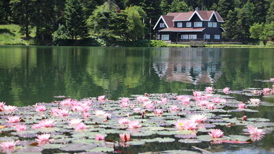 Tabelalarla uyarı yapıldı... Sakın dokunmayın!