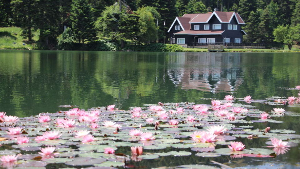 Tabelalarla uyarı yapıldı... Sakın dokunmayın!