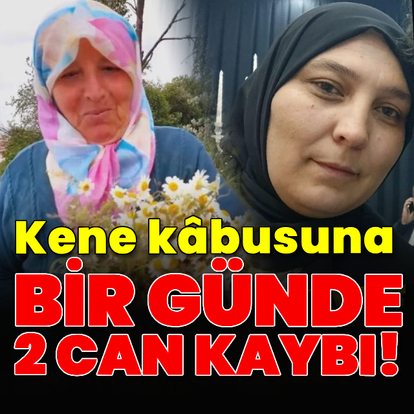 Kene bir günde iki can aldı!