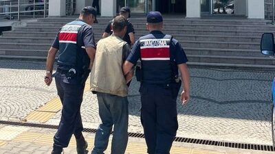 Evinden 77 kök kenevir çıktı: 1 tutuklama