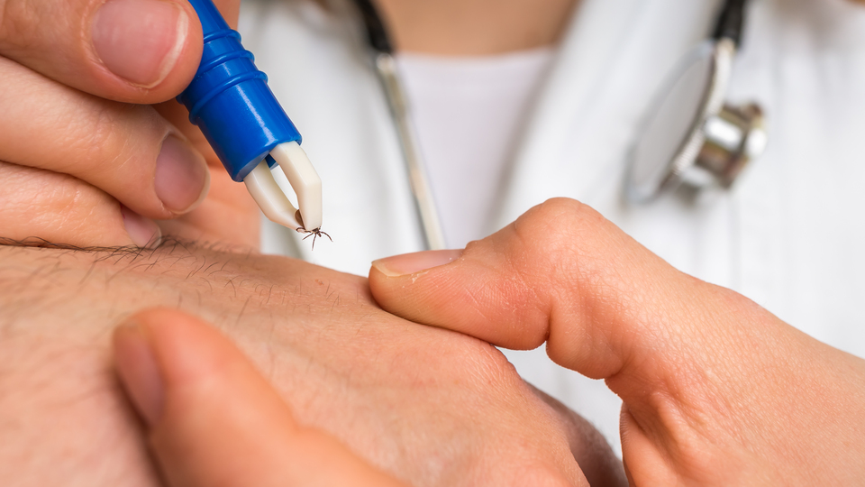 Keneye karşı 'açık renkli giysi' uyarısı!