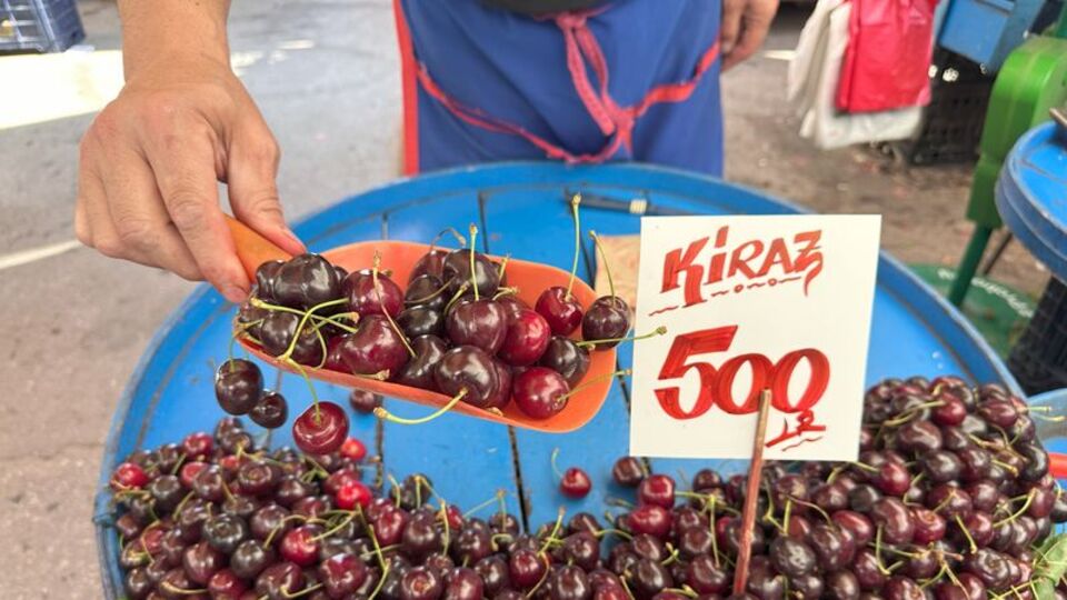 Zirai dondan etkilenen kiraz, 500 TL