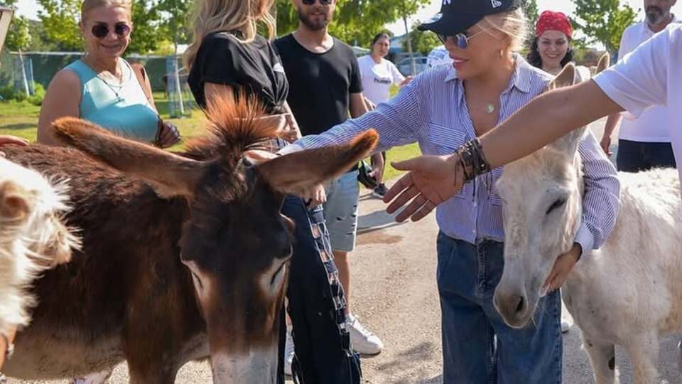 Emekli hayvanları ziyaret etti