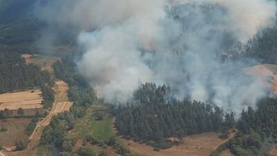 Bursa'da anızda başlayan yangın ormana sıçradı