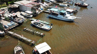 İzmit Körfezi kahverengi oldu!