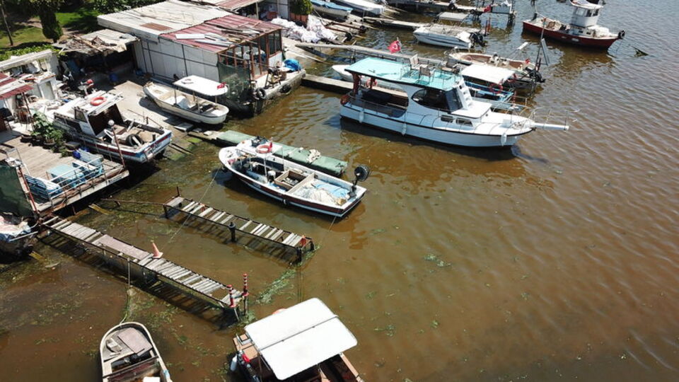 İzmit Körfezi kahverengi oldu!