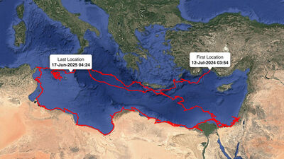 Uydudan izlenen 'Gümüş'ün sıra dışı yolculuğu