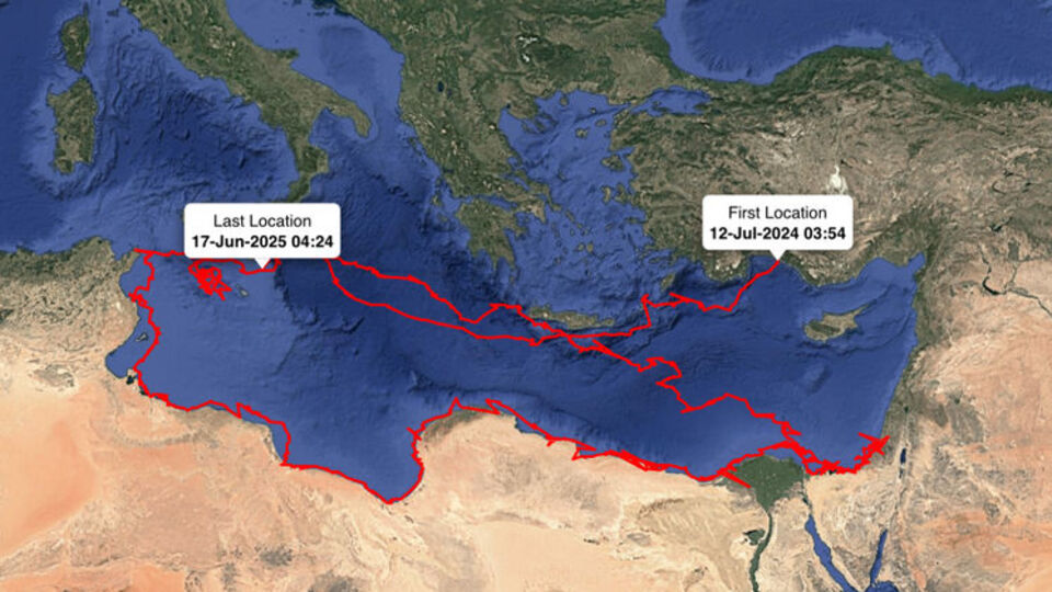 Uydudan izlenen 'Gümüş'ün sıra dışı yolculuğu