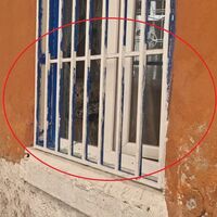 Annesi, evinin camını kıran oğlundan şikayetçi oldu - Güncel haberler thumbnail