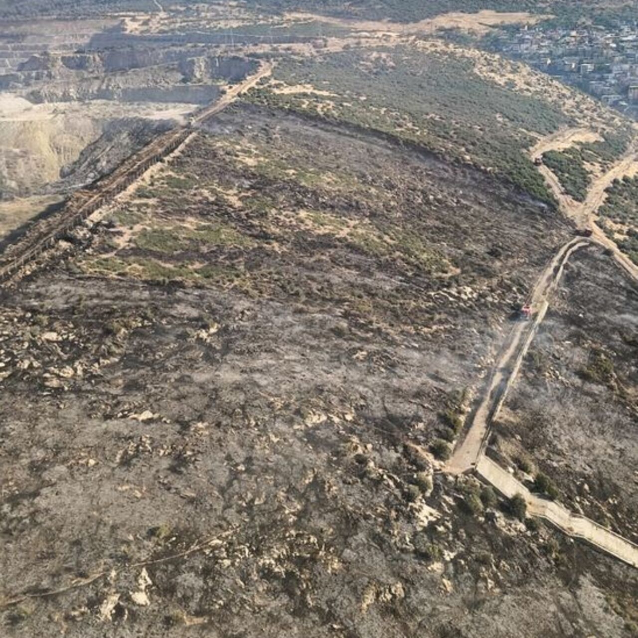 İzmir'de makilik alanda yangın
