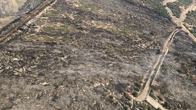 İzmir'de makilik alanda yangın