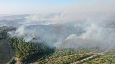 Balıkesir'deki orman yangınlarına ilişkin 5 gözaltı