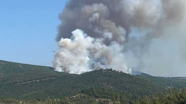 Yangındaki biçerdöver iddiasına 5 gözaltı!