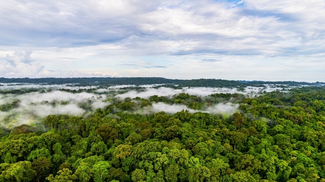 Dış dünyanın girişi yasak!