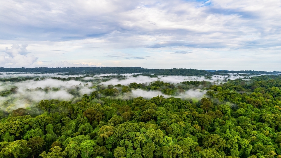 Dış dünyanın girişi yasak!