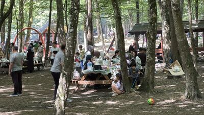 İstanbul Valiliği'nden orman kararı!