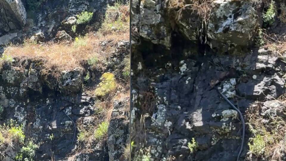 Avladığı yılanla kayalıklara tırmandı