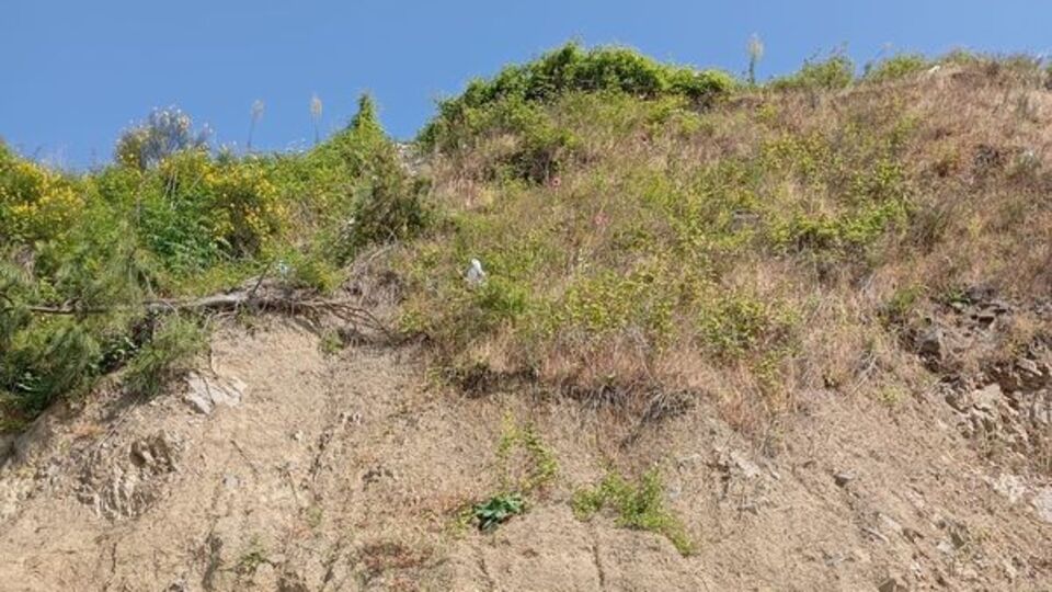 50 metrelik uçurumdan düştü