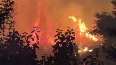 Düğünde atılan havai fişekler, yangına yol açtı
